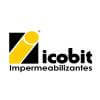 Icobit