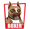 Boxer