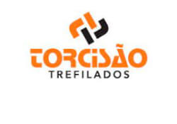 Torcisão