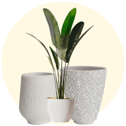 Decoração
