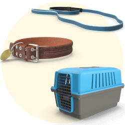 Transporte Pet