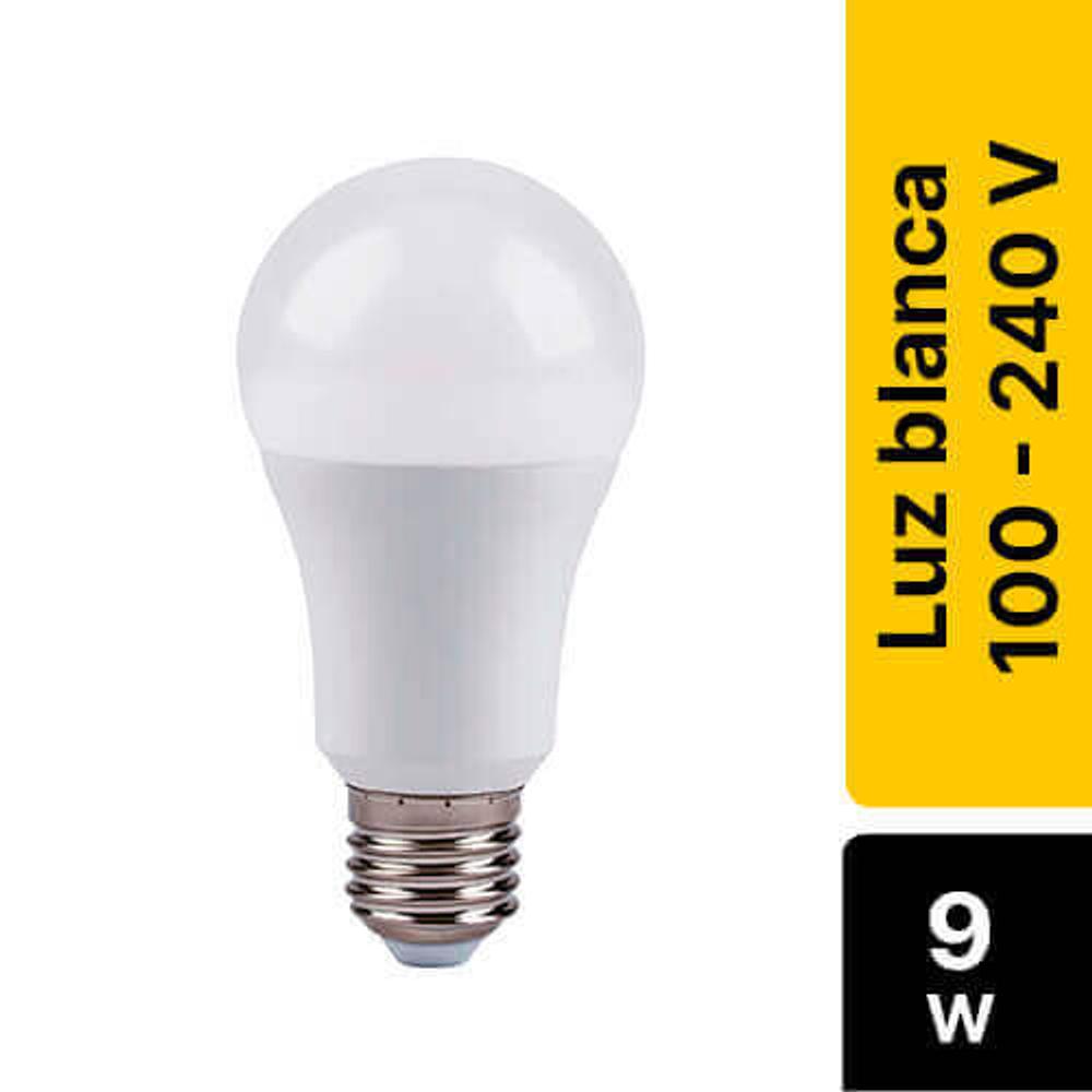 https://plt.one.tul.io/catalog-core-bs/products/bfb52585-02c0-44de-9ae2-4f566fe2b71b_big.jpeg