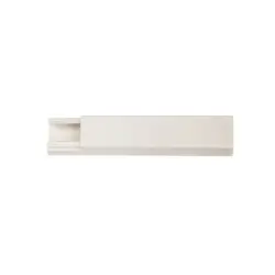 Mini Canaleta con Adhesivo MCA25/1X17AD 25/1 x 17